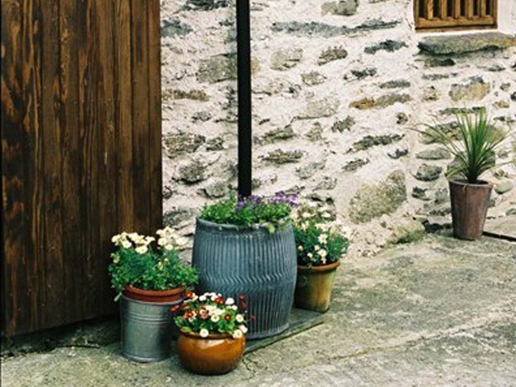 Plasglasgwm Betws-y-Coed Pokój zdjęcie